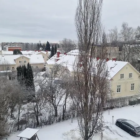 Mummola Kodikas Vintage-huoneisto 海门林纳