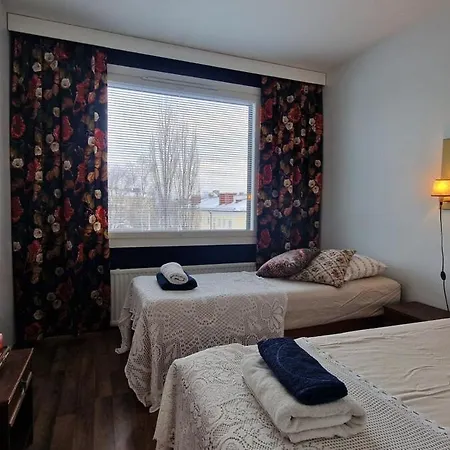 公寓 Mummola Kodikas Vintage-huoneisto *