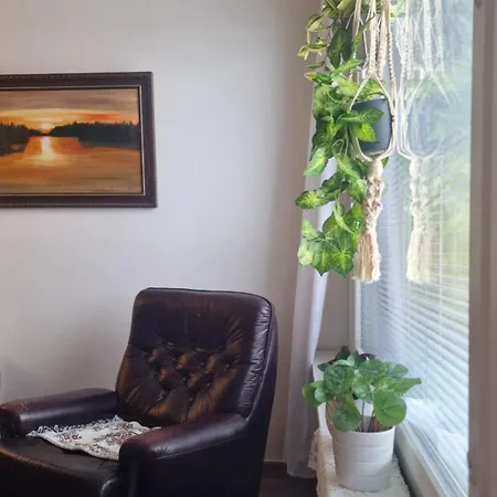 Mummola Kodikas Vintage-huoneisto アパート