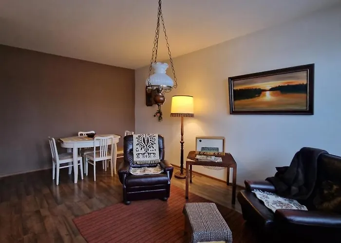 公寓 Mummola Kodikas Vintage-huoneisto *